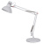 Настольная лампа Arte Lamp RAGNO