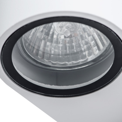 Фасадный светильник Arte Lamp COMPASS