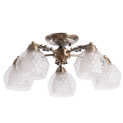 Потолочная люстра Arte Lamp MALINA
