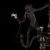 10314 Black Подвесной светильник LOFT IT Monkey