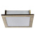Потолочный светильник Arte Lamp FLUSHES A6064PL-2AB
