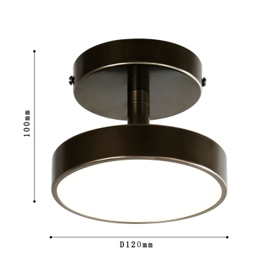 3060-1P, потолочный светильник, D120xH100, LEDx10W, 800LM, 4000K, included
