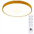 Потолочный светильник Arte Lamp ARENA A2661PL-1YL