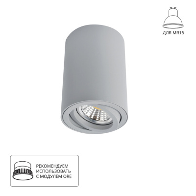 Точечный накладной светильник Arte Lamp SENTRY