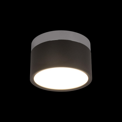 10179/12 Black Накладной светильник LOFT IT Photon