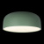 10201/480 Green Потолочный светильник LOFT IT Axel