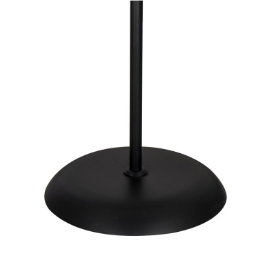Торшер Arte Lamp DUETTO