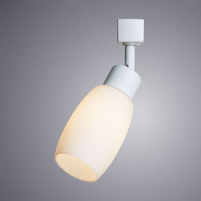 Трековый светильник Arte Lamp MIIA