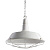 Подвесной светильник Arte Lamp PANDORA A9183SP-1WG