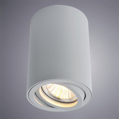 Точечный накладной светильник Arte Lamp SENTRY