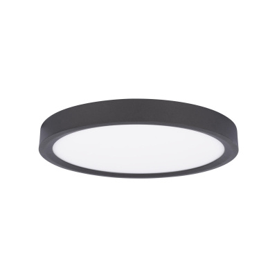 10227/24 Black Потолочный светильник LOFT IT Extraslim