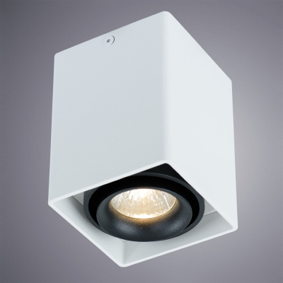 Точечный накладной светильник Arte Lamp PICTOR