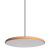 10119 Orange Подвесной светильник LOFT IT Plato