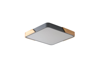 Светильник ZORTES ALBERRO ZRS.01288.60, Мощность - 60Вт, Тип лампы: LED, В - 50мм / Д - 600мм / Ш - 600мм