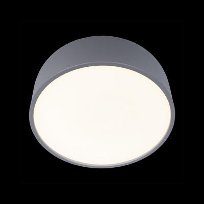 10201/350 Grey Потолочный светильник LOFT IT Axel
