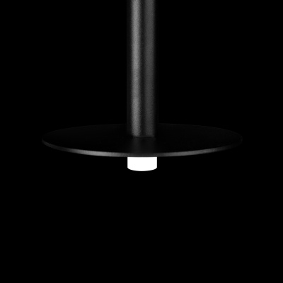 10358/830 Disk Подвесной светильник LOFT IT Reed