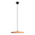 10119 Orange Подвесной светильник LOFT IT Plato