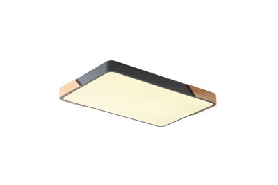 Светильник ZORTES ALBERRO ZRS.01277.60, Мощность - 60Вт, Тип лампы: LED, В - 50мм / Д - 420мм / Ш - 650мм