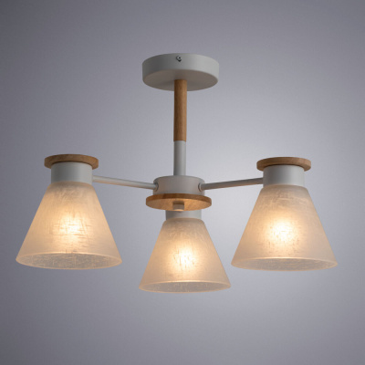 Потолочная люстра Arte Lamp TYLER