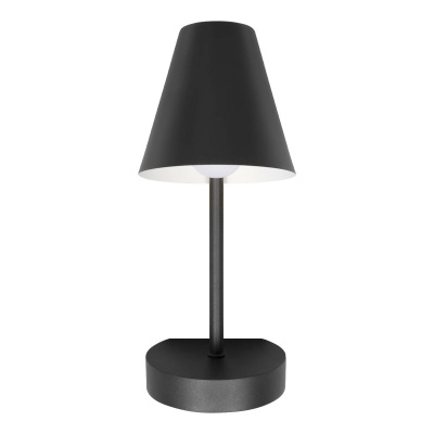 10216/1W Black Настенный светильник LOFT IT Shelf