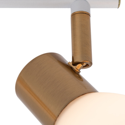 Спот Arte Lamp FALENA