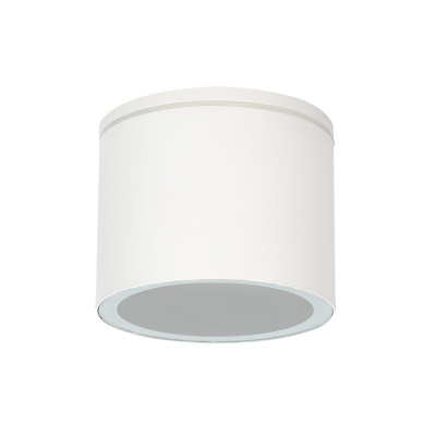 Уличный потолочный светильник Arte Lamp PIAUTOS