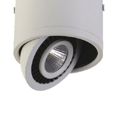 1776-1C, потолочный светильник, D112xH85, 1xLEDx12W, AC:100-240V, 960LM, RA>80, IP21, 960LM, 4000K, included