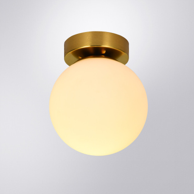 Настенно-потолочный светильник Arte Lamp ALCOR