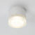 Уличный потолочный светильник Arte Lamp PIAUTOS