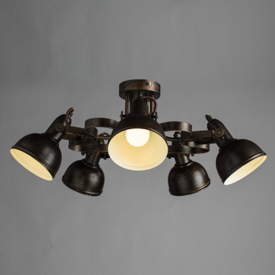 Потолочная люстра Arte Lamp MARTIN