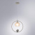 Подвесной светильник Arte Lamp Gemelli A2150SP-1WG