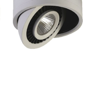 1775-1C, потолочный светильник, D87xH60, 1xLEDx7W, AC:100-240V, 560LM, RA>80, IP21, 560LM, 4000K, included