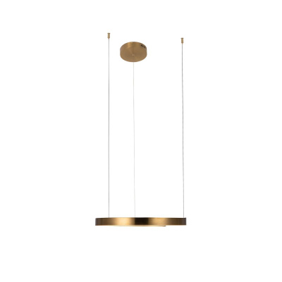 10013M Подвесной светильник LOFT IT Ring