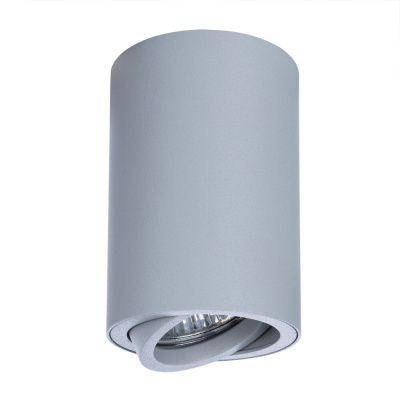Точечный накладной светильник Arte Lamp SENTRY