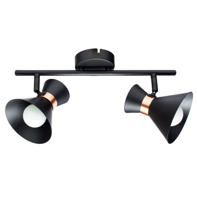 Спот Arte Lamp BALTIMORE