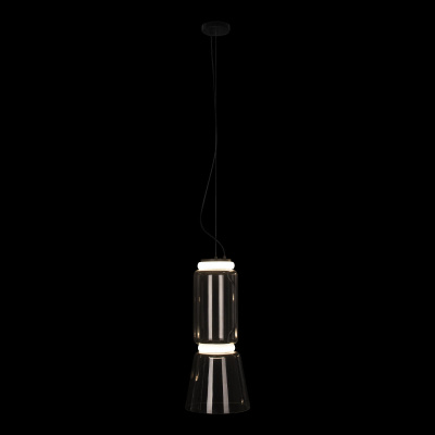 10193/S Подвесной светильник LOFT IT Noctambule