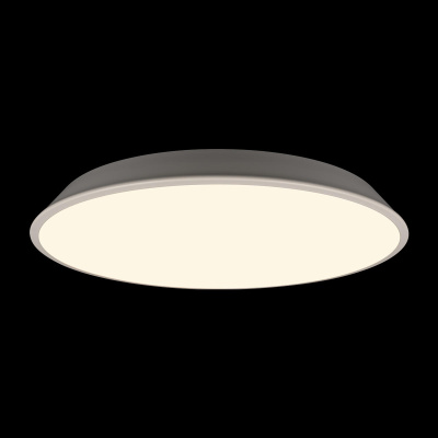 10226 White Потолочный светильник LOFT IT Brim