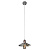 Подвесной светильник Arte Lamp ASTI A8160SP-1GY