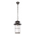 100015P Уличный подвесной светильник LOFT IT Palermo