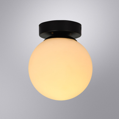 Настенно-потолочный светильник Arte Lamp ALCOR