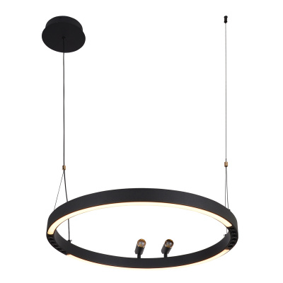 4474-1P, подвесная люстра, D600xH1000/1800, LEDx58W + 2xLEDx3W, 1860LM, 3000-6500K, included, remote control