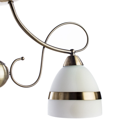 Потолочная люстра Arte Lamp NOEMI
