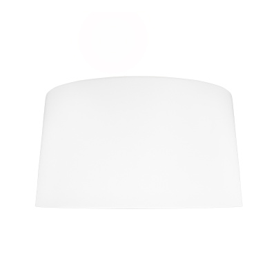 10360L White Потолочный светильник LOFT IT Duo