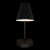 10216/1W Black Настенный светильник LOFT IT Shelf