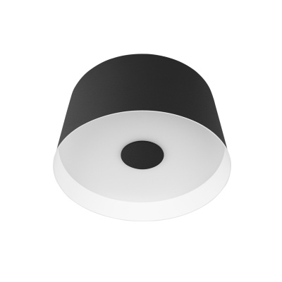 10360S Black Потолочный светильник LOFT IT Duo