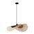 Подвесной светильник Arte Lamp WOODSTOCK A7063SP-1BK