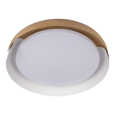 10198 White Потолочный светильник LOFT IT Coin