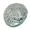 8332-G-9-Ch Светильник точечный хром от интернет магазина Elvan.ru