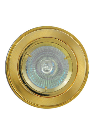 204-MR16-5.3-SG-G Светильник точечный от интернет магазина Elvan.ru