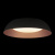 10229 Black Потолочный светильник LOFT IT Cappello
